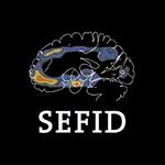 SEFID: Sociedad Española de Fisioterapia y Dolor